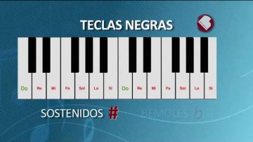 Privado: [ID: 1LgIAbH5Ico] Youtube Automatic