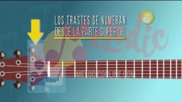 Privado: [ID: bY-sHR7QLgQ] Youtube Automatic