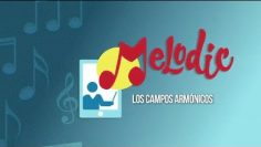 Privado: [ID: ImCyxqYj1vg] Youtube Automatic