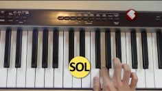 Privado: [ID: jCNuah0WOWQ] Youtube Automatic