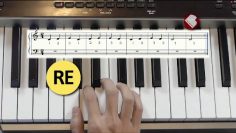 Privado: [ID: TXt2ZMmGg_I] Youtube Automatic