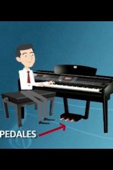 Privado: [ID: VtYFd42SmMI] Youtube Automatic