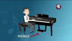 Privado: [ID: VtYFd42SmMI] Youtube Automatic